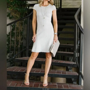 *NWOT* Level 99 Felicia Seamed Faux Suede A-Line Dress In Limestone, XS